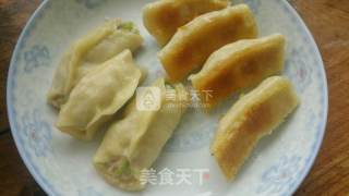 营养美味白菜猪肉饺子（内附锅贴做法）的做法步骤：11