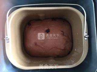 可可双莓欧软包（波兰种）的做法步骤：7