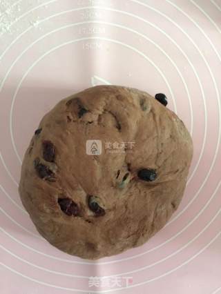 可可双莓欧软包（波兰种）的做法步骤：8