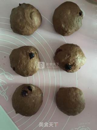 可可双莓欧软包（波兰种）的做法步骤：9