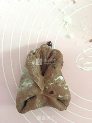 可可双莓欧软包（波兰种）的做法步骤：11