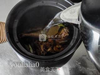 砂锅酱烧鸭的做法步骤：6