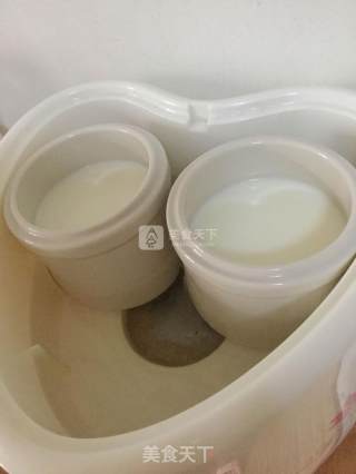 自制酸奶的做法步骤：4