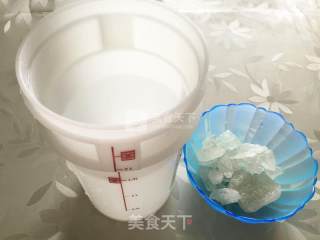 减肥美眉必备-番木瓜鲜酿酵素的做法步骤：4