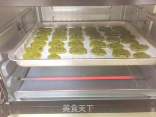 蔓越梅饼干 抹茶提子饼干的做法步骤：13