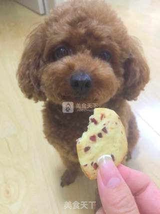 蔓越梅饼干 抹茶提子饼干的做法步骤：17