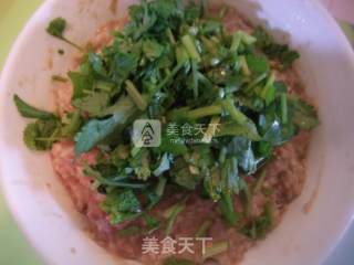 广式牛肉丸的做法步骤：9