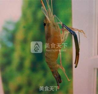 私房盐水虾的做法步骤：1