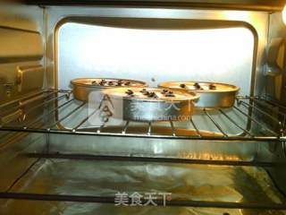 蓝莓奶酪面包的做法步骤：16