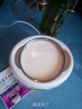 开菲尔酸奶的做法步骤：6