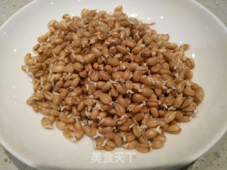 开心果姐姐小麦胚芽煲仔饭的做法步骤：2