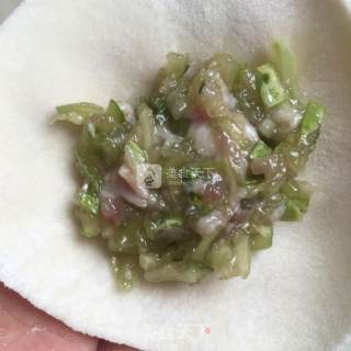 黄瓜馅水饺的做法步骤：9