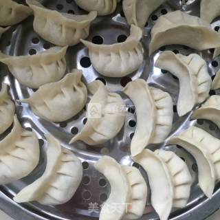 黄瓜馅水饺的做法步骤：10
