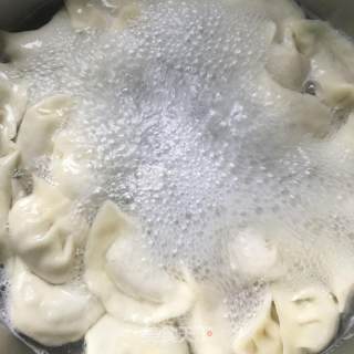 黄瓜馅水饺的做法步骤：11