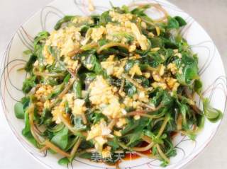 [凉拌马齿苋]采摘野菜，棒棒哒！的做法步骤：3