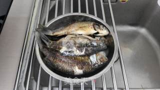 豆腐鲫鱼的做法步骤：5
