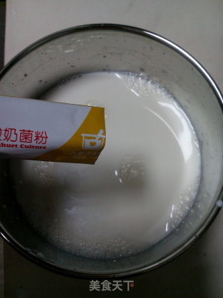 自制酸奶的做法步骤：4