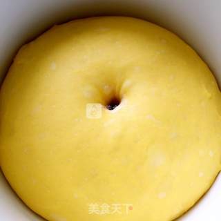 南瓜豆沙面包的做法步骤：8