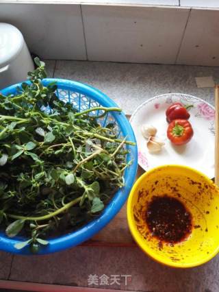 凉拌马齿苋的做法步骤：2