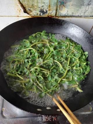 凉拌马齿苋的做法步骤：4