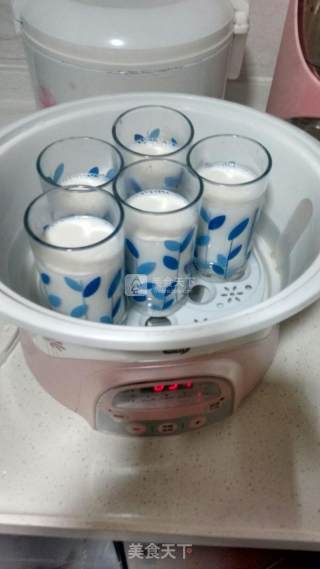 DIY原味酸奶的做法步骤：5