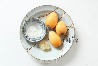 川贝炖枇杷的做法