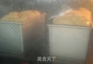 中种椰蓉土司面包的做法步骤：11