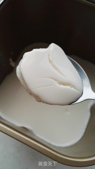 自做酸奶的做法步骤：10
