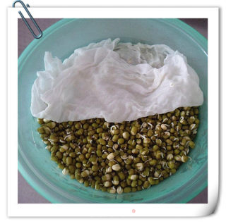 绿豆芽炒韭菜（自己发绿豆芽）的做法步骤：4