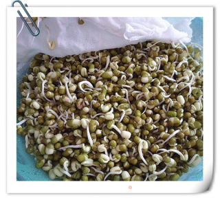 绿豆芽炒韭菜（自己发绿豆芽）的做法步骤：5