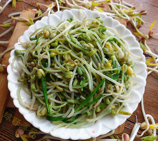 绿豆芽炒韭菜（自己发绿豆芽）的做法步骤：12