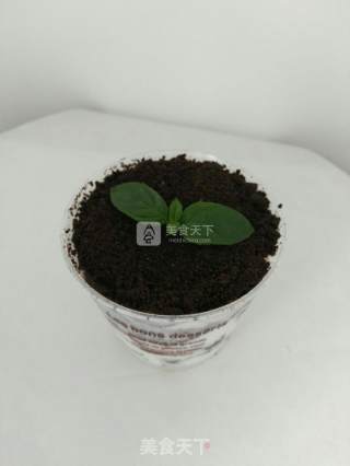 奥利奥木糠杯的做法步骤：11