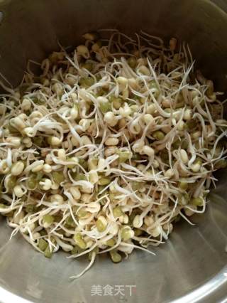 自发绿豆芽（简单易学）的做法步骤：5
