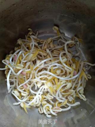 自发绿豆芽（简单易学）的做法步骤：7
