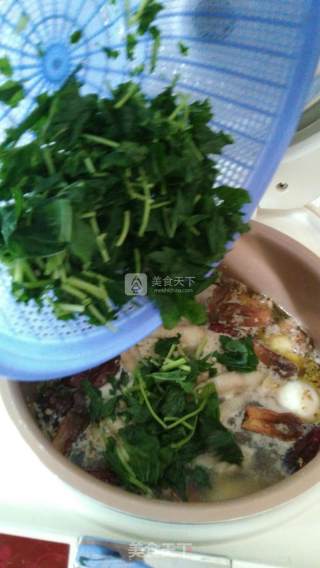 益母草红枣姜汤的做法步骤：9