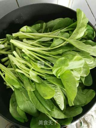 蒜蓉菜苗的做法步骤：3