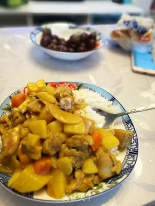 咖喱鸡的做法步骤：10