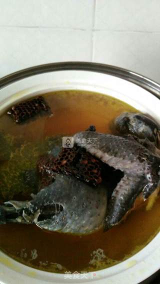 蜂巢炖乌鸡的做法步骤：5