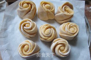 黄玫瑰馒头的做法步骤：12