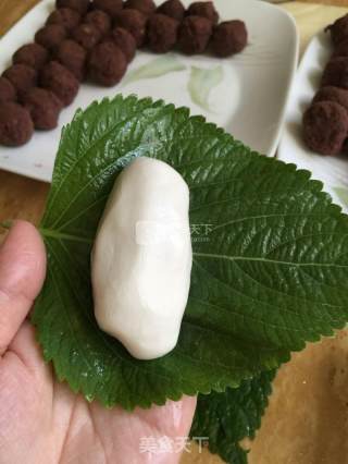 苏子叶干粮的做法步骤：6