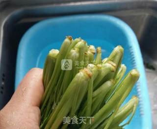 长久保存脱水香菜的做法步骤：2
