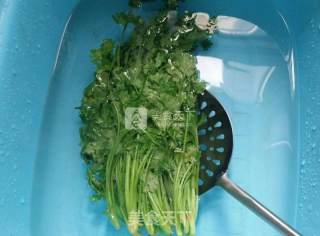 长久保存脱水香菜的做法步骤：6