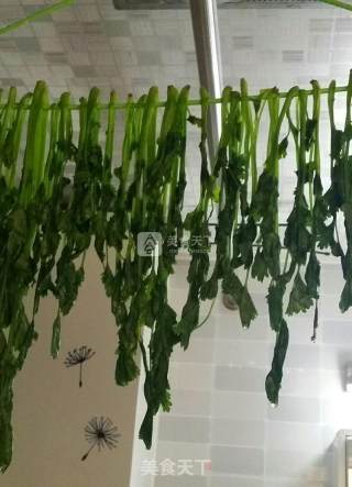 长久保存脱水香菜的做法步骤：8