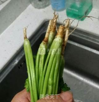 长久保存脱水香菜的做法步骤：13