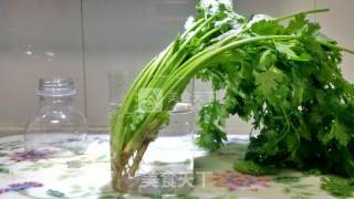 长久保存脱水香菜的做法步骤：15