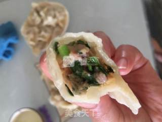 三鲜饺子的做法步骤：5
