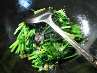 蒜香肉丝炒菠菜的做法步骤：5