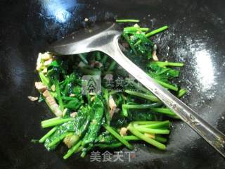蒜香肉丝炒菠菜的做法步骤：7