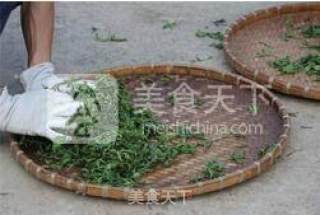 九叶蓝绞股龙须茶的做法步骤：2