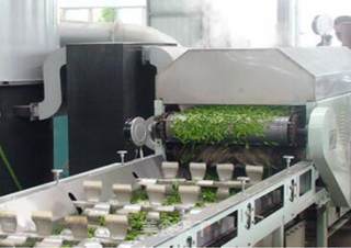 九叶蓝绞股龙须茶的做法步骤：3